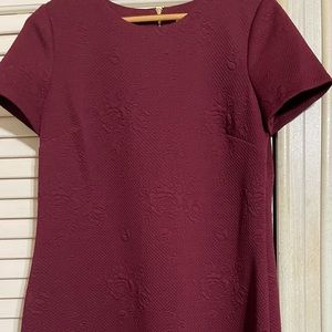 Calvin Klein Women dress